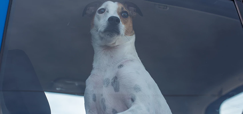 Car Lockout Solutions in San Pablo, California